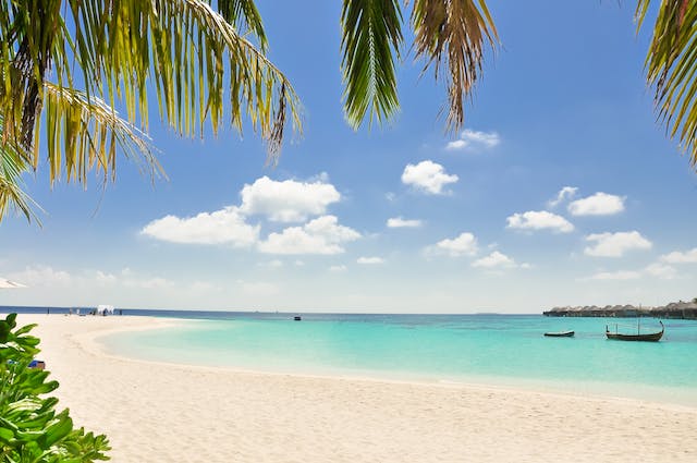 Ontdek Diverse Manieren om Op Vakantie te Gaan