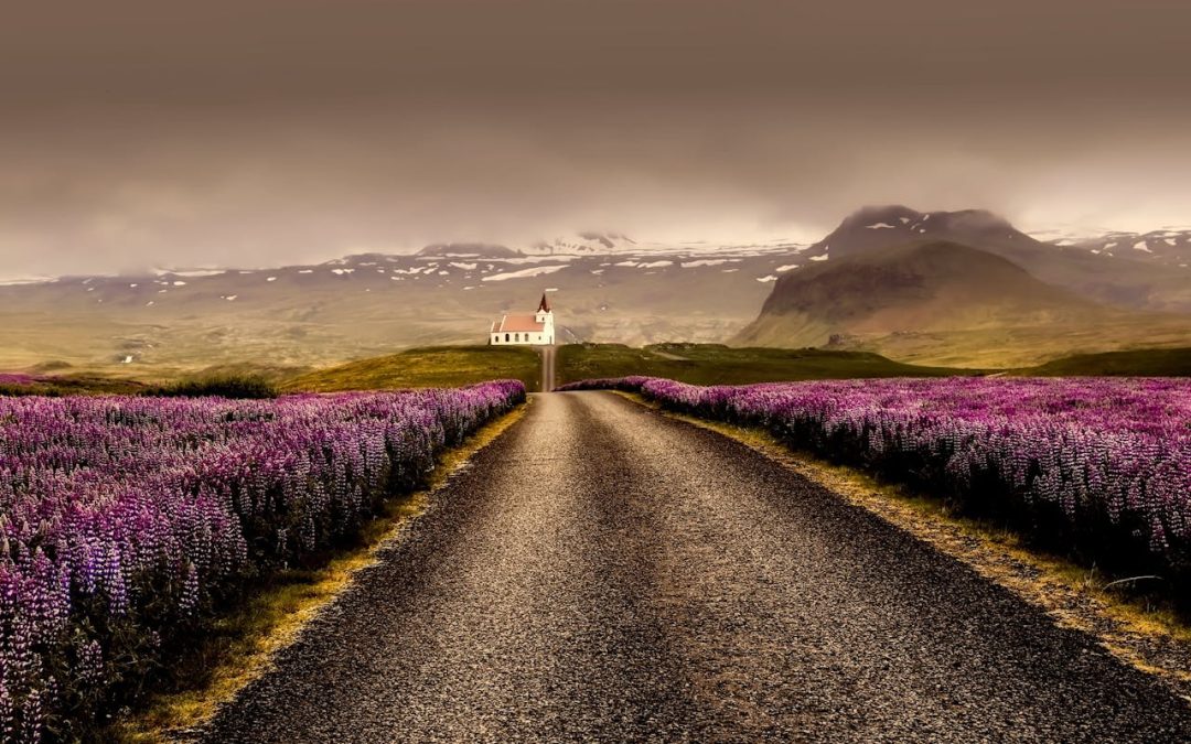 Weekendje weg naar IJsland: de perfecte reis voor natuurliefhebbers